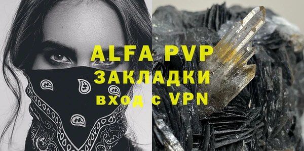 гашиш Богданович