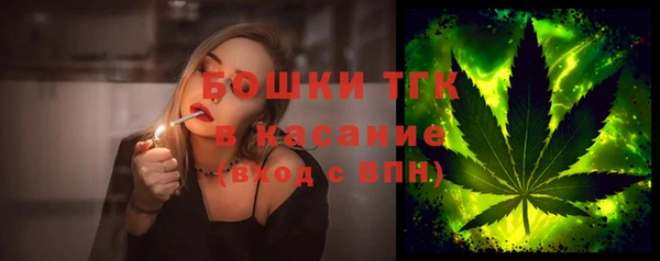 молекула духа Богородск