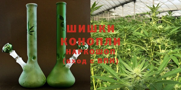 молекула духа Богородск