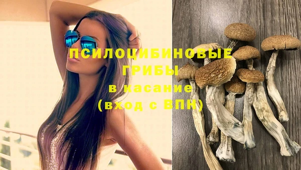 Альфа ПВП Богородицк