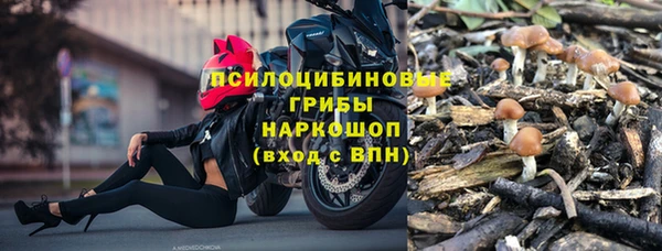 молекула духа Богородск