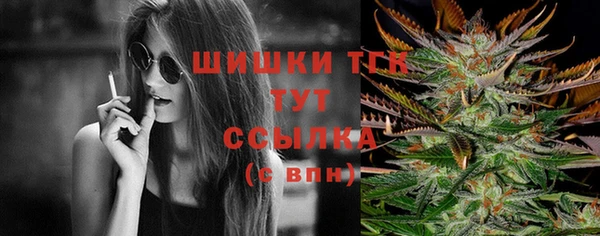 молекула духа Богородск