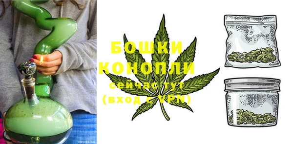 гашиш Богданович