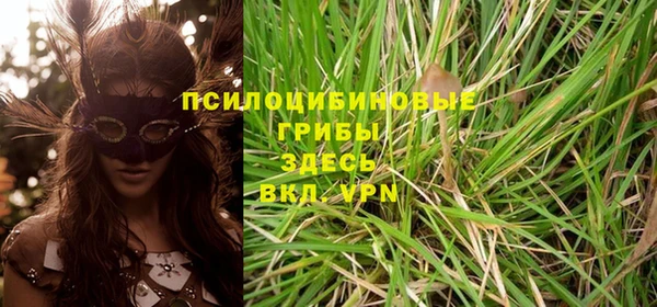 Альфа ПВП Богородицк
