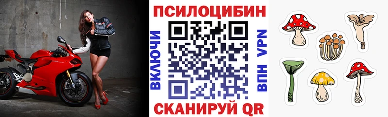 мега зеркало  Яранск  это состав  Галлюциногенные грибы MAGIC MUSHROOMS 